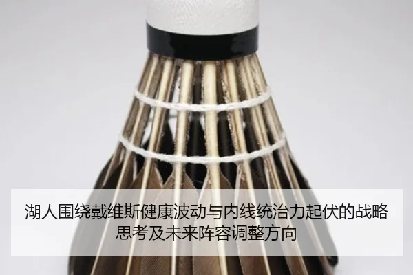 湖人围绕戴维斯健康波动与内线统治力起伏的战略思考及未来阵容调整方向